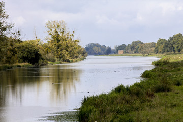 Bords de Loire, nature, ciel, oiseux