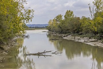Bords de Loire, nature, ciel, oiseux