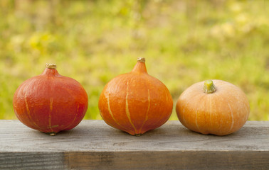 decor for the holiday of Halloween, orange pumpkins on a wooden table, agriculture, harvesting of autumn harvest