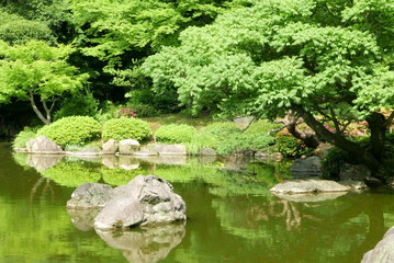 Trees, lake with reflection in the Japanese zen garden