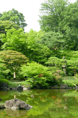 Fototapeta na wymiar Green plants, pond with reflection in Japanese zen garden