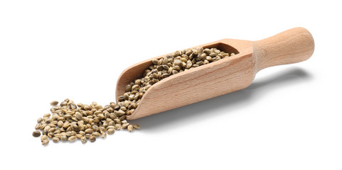 Wooden scoop with hemp seeds on white background