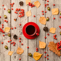 Naklejka na ściany i meble Flat lay autumn background. Cup of tea on rustic grey wooden table with acorns, cones and leaves. Top view