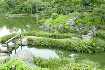 Fototapeta na wymiar The green tree, bridge and lake in Japanese zen garden