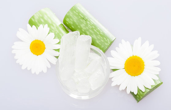 Beautiful composition of fresh aloe vera leaves, aloe pulp in a gluss bowl and chamomile flower