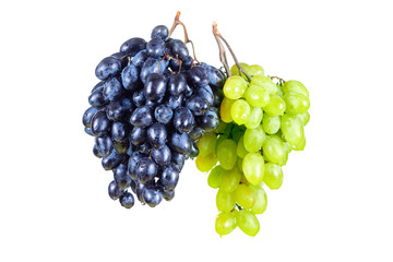 Blue and green grape with water drops isolated white
