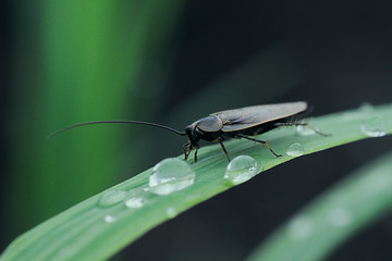 I am sitting here, waiting for something.