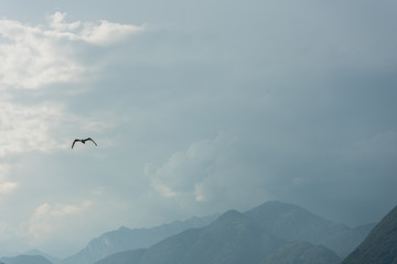 Fototapeta na wymiar ascona lago maggiore mountain view with cloudy sky and tree