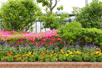 Obraz premium Colorful flowers, green garden plants in sprinttime