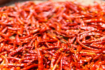 Fototapeta premium pile of Dried Red Chilli pepper for abstract background. chilli is asian vegetable for spicy ingredient in food. selective focus.
