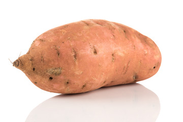 Sweet potato on the white background