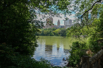 Fototapeta na wymiar Central Park New York