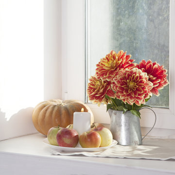 the Autumn still life with red dahlias in a tin jar, pumpkin, a cup of tea and apples on the window in sunny weather