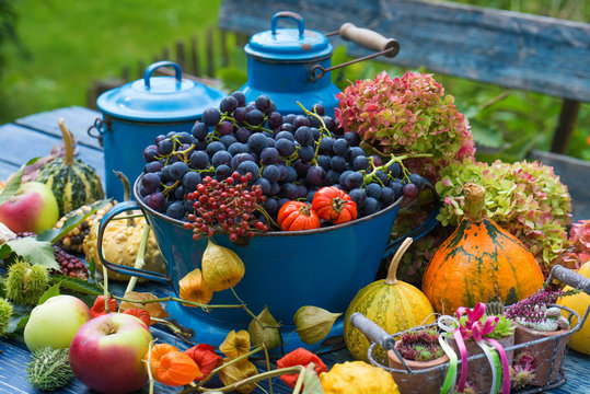 Farbenfrohe Erntezeit
