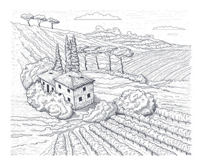 Countryside scenery in Tuscany, Italy. Handmade drawing vector illustration. Vintage style