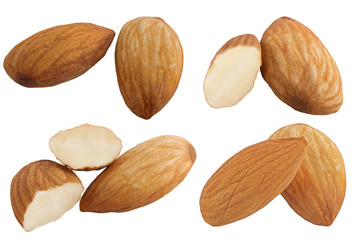 Collection of almonds isolated on white background