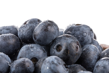 blueberries isolated close up