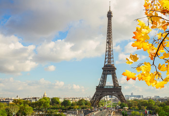 eiffel tour from Trocadero hill with branch of fall tree, Paris, France