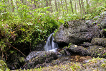 Bachlauf im Bayerischen Wald mit Steinen und Felsen und Moos