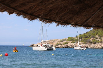 catamarano