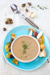 Rahm- Pilzsuppe