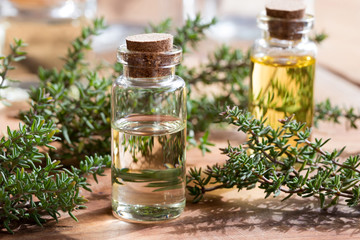A bottle of thyme essential oil with fresh thyme leaves