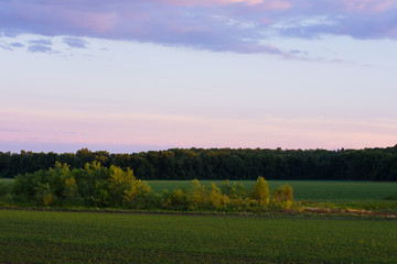 Obraz premium Kansas Sunset