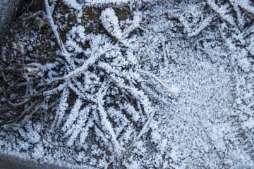 Ground frost on a winter morning