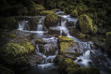 Fototapeta na wymiar Waterfall in the Lumsdale Valley, Matlock, Derbyshire, Peak District, England