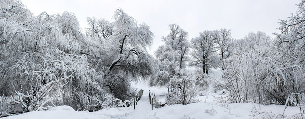 Winter landscape with a bridge frosted white trees