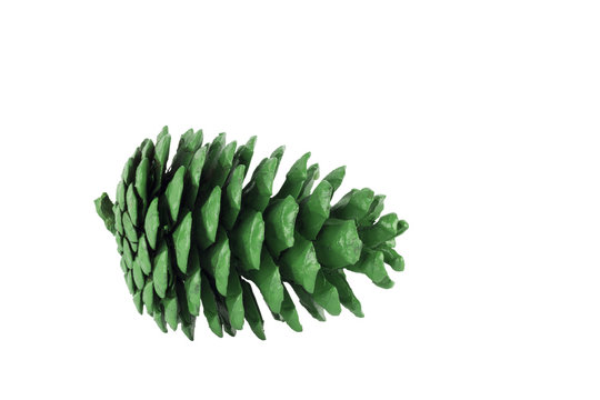 Pine cone