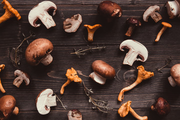 Fresh mixed forest mushrooms on the wooden background