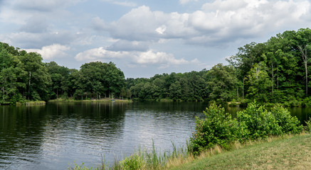 View by a Lake
