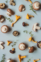 Fresh mixed forest mushrooms on the blue background, top view