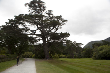 Ireland-juin-juillet-2017