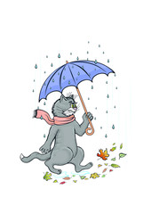 A cat with an umbrella is walking in the rain.