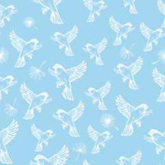 Sparrow pattern. Cute seamless pattern with small birds on blue background in hand drawn style. illustration