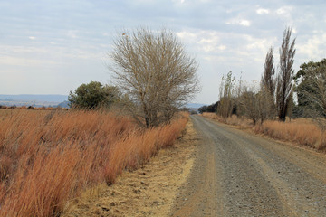 Dirt Road Near Clarence, Free State, South Africa