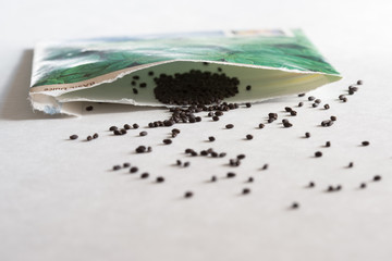 Basil Seeds Spilled from a Seed Packet