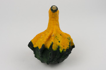 kürbis dekoration im herbst für gastronomie oder halloween