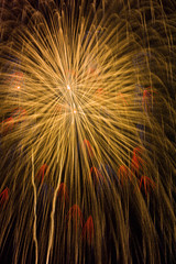 hanabi