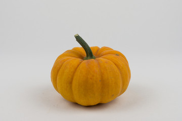 kürbis dekoration im herbst für gastronomie oder halloween