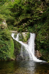 Fototapeta na wymiar Allerheiligen Wasserfall