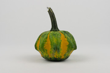 kürbis dekoration im herbst für gastronomie oder halloween