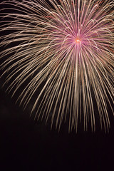hanabi