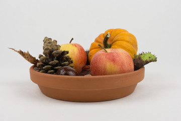 kürbis dekoration im herbst für gastronomie oder halloween