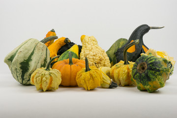 kürbis dekoration im herbst für gastronomie oder halloween