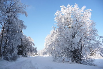 Beautiful winter countryside in Czech Republic with blue sky, Jeseniky, Rejviz