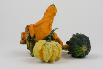 kürbis dekoration im herbst für gastronomie oder halloween