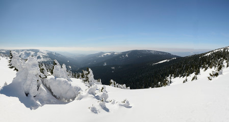Obraz premium Beautiful snowy countryside in mountains, Kralicky Sneznik, Czech Republic